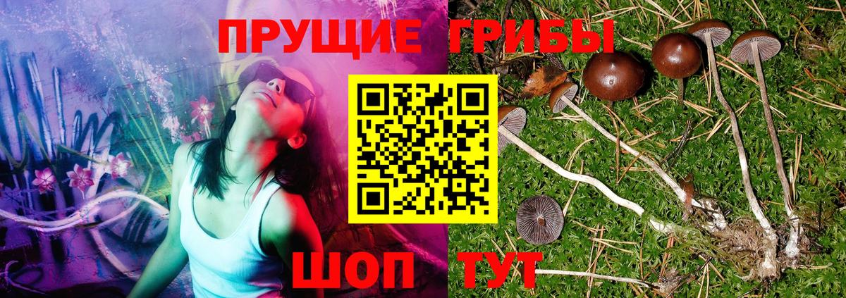 Гулькевичи  Псилоцибиновые грибы Magic Shrooms  Вход с VPN 